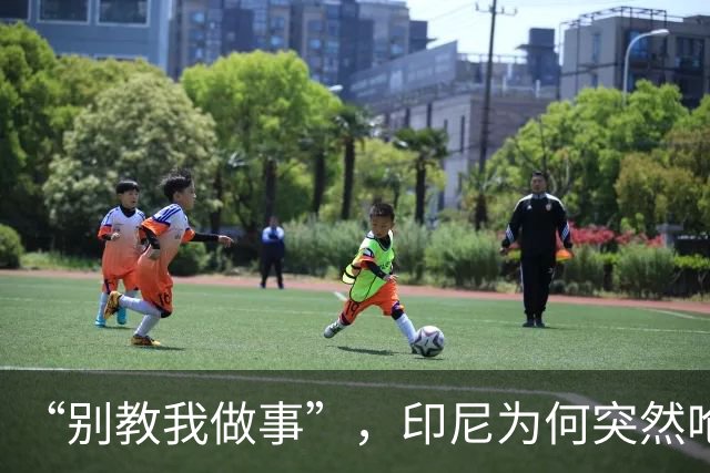 “别教我做事”，印尼为何突然呛声新加坡？