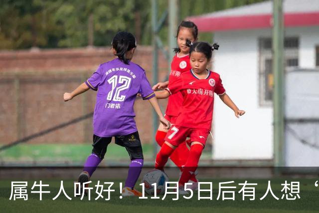 属牛人听好！11月5日后有人想“抽走你的扁担”，提前留个心眼