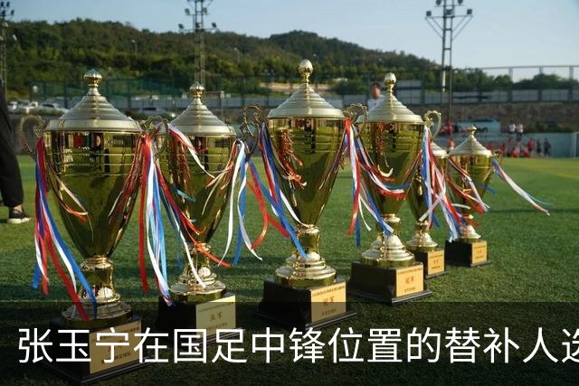 张玉宁在国足中锋位置的替补人选，除了拜合拉木之外，还有他值得看好