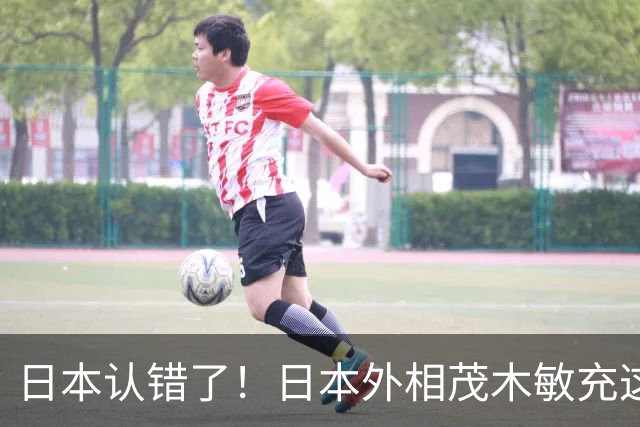 日本认错了！日本外相茂木敏充这回把话挑明了：