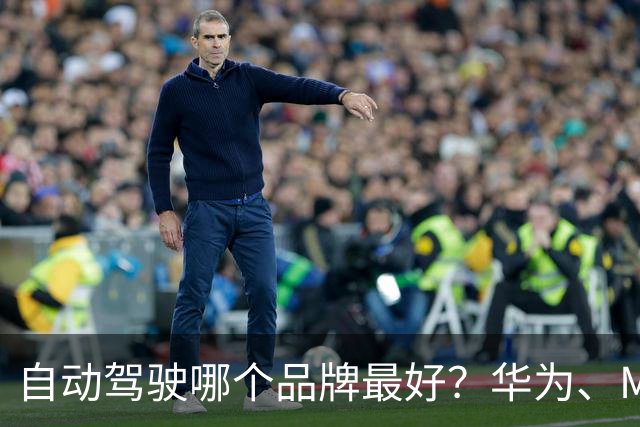 自动驾驶哪个品牌最好？华为、Momenta、地平线、卓驭实力大盘点