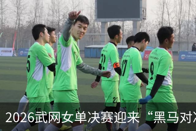 2026武网女单决赛迎来“黑马对决”，斯瓦泰克波兰德比落败，赫瓦林斯卡将与卡塔尔争冠